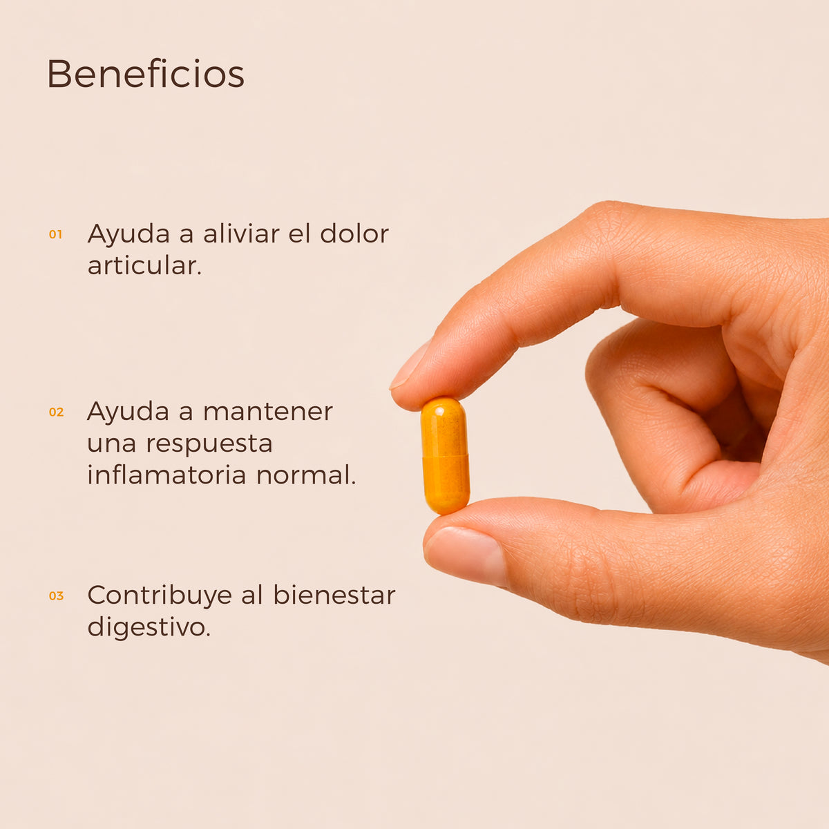Cúrcuma + Pimienta Negra