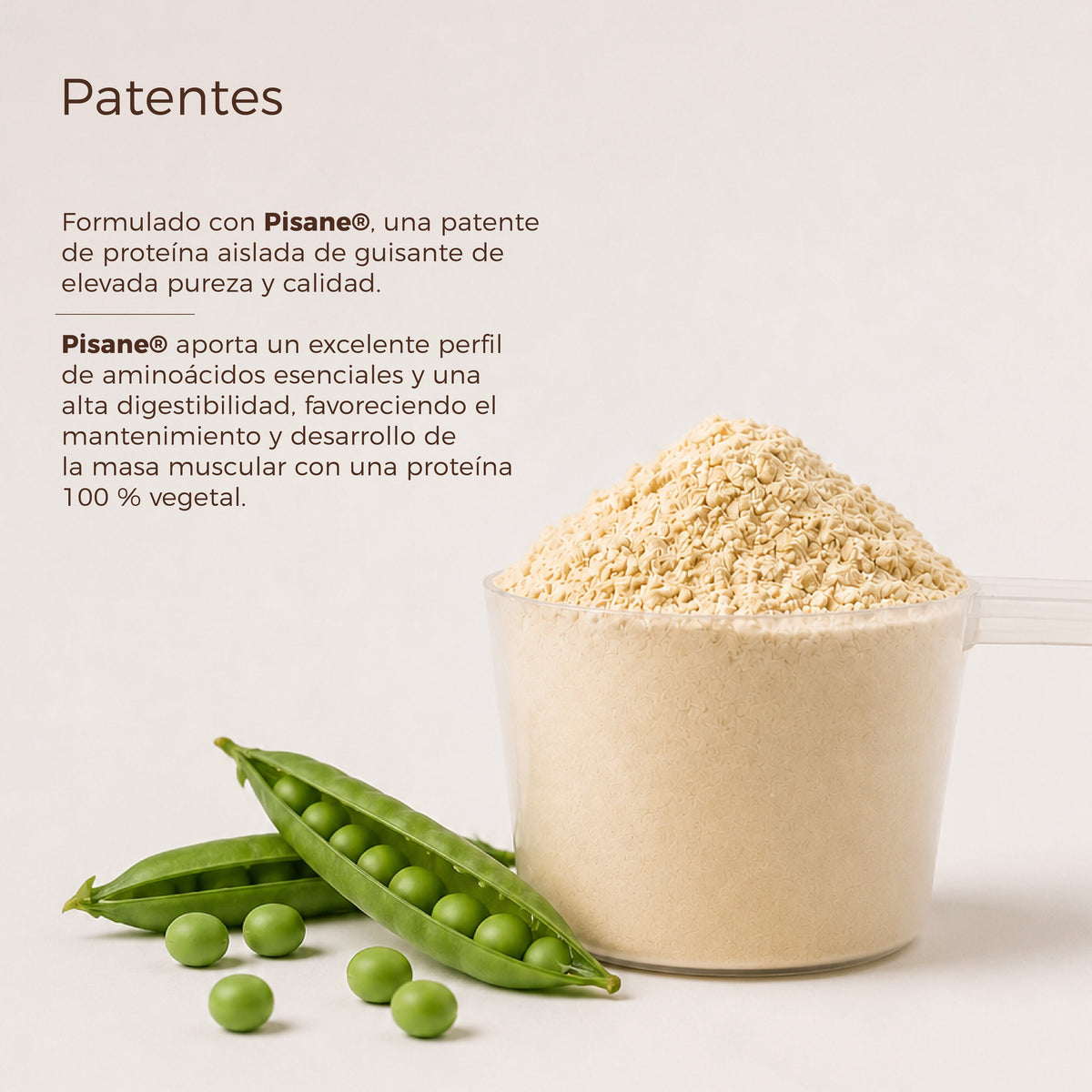 Proteína Vegana Aislada