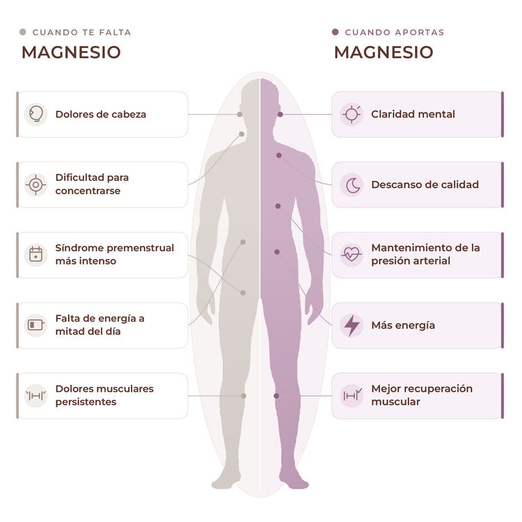 TRIMAGNESIUM: Energía y recuperación
