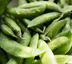 Proteína de guisante (PISANE™)