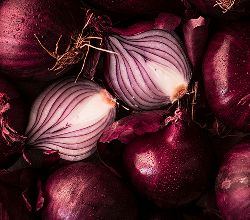 Quercetina (Quercefit®)