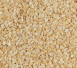 Nicotinamida (Vitamina B3)