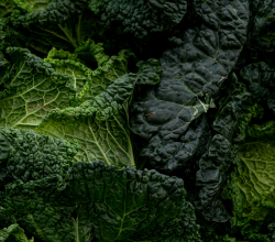 Vitamina K