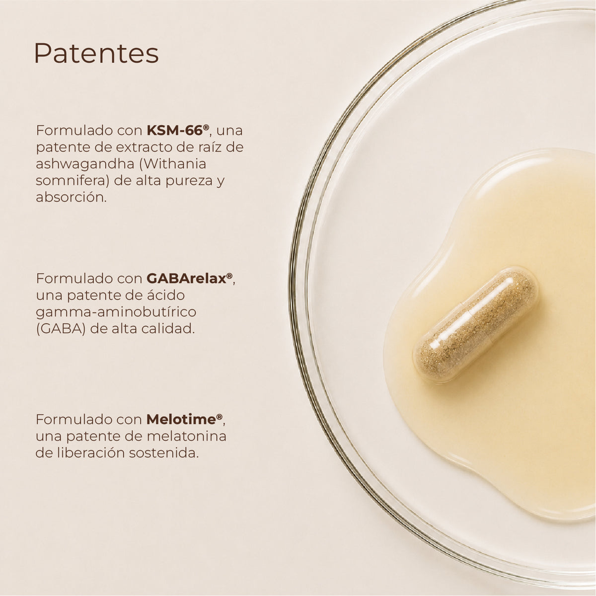 NEURO SLEEP: Protocolo para un sueño reparador