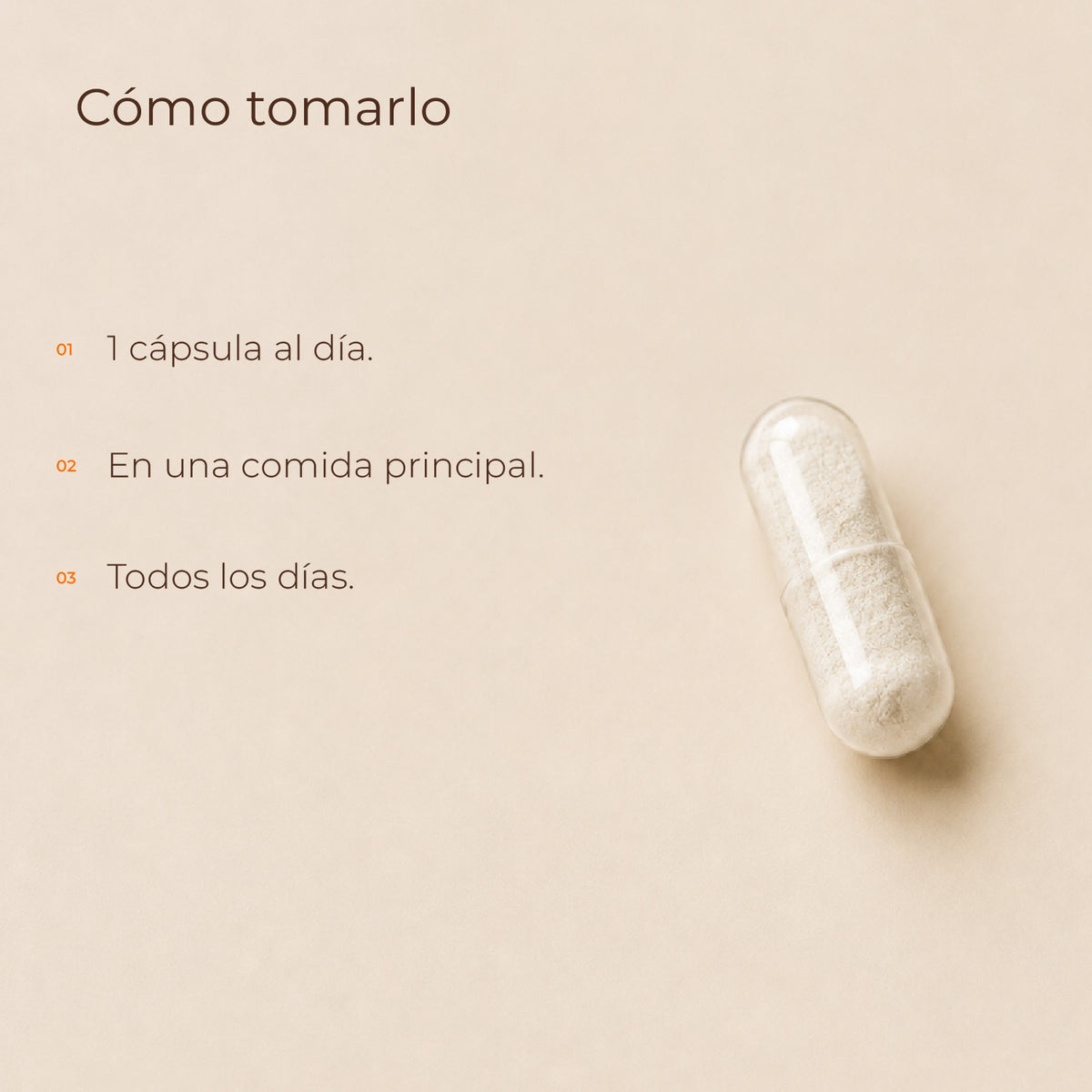 Vitamina C + Reishi