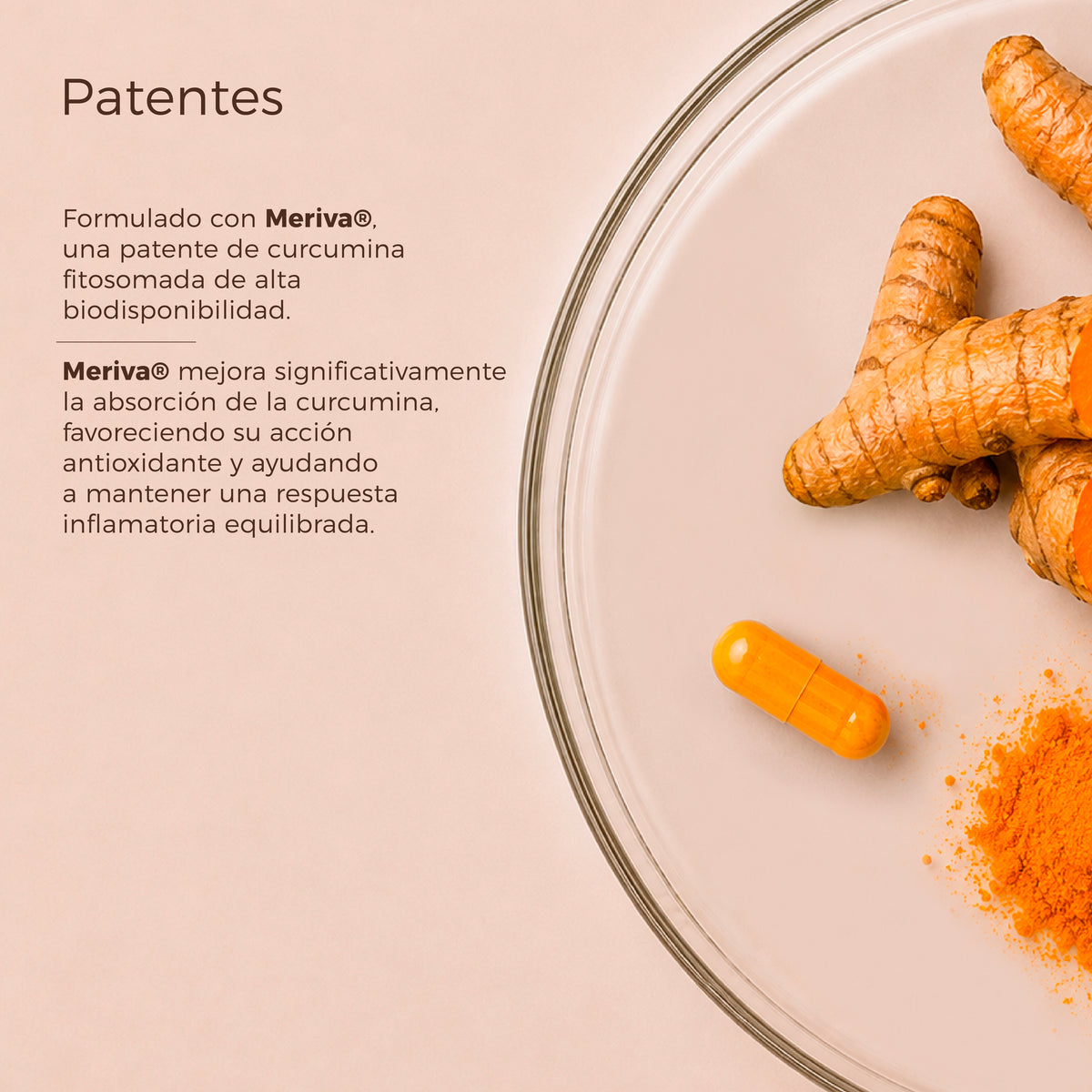 Cúrcuma + Pimienta Negra