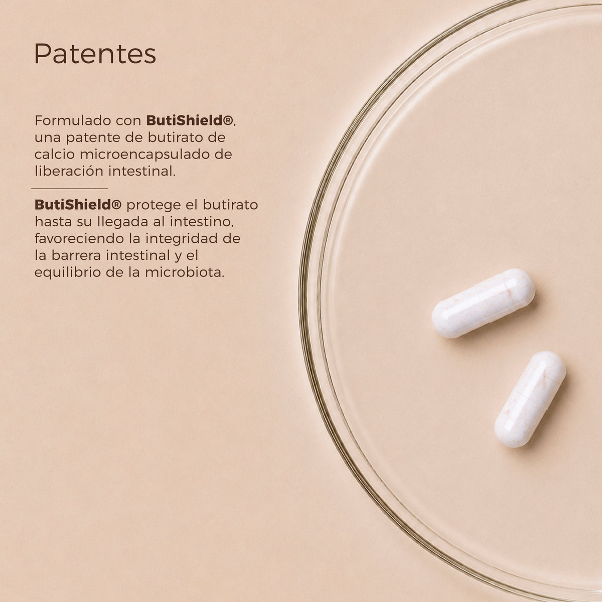 Pre-Post Probiótico