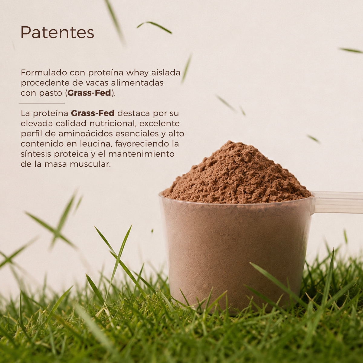 Proteína Whey Aislada
