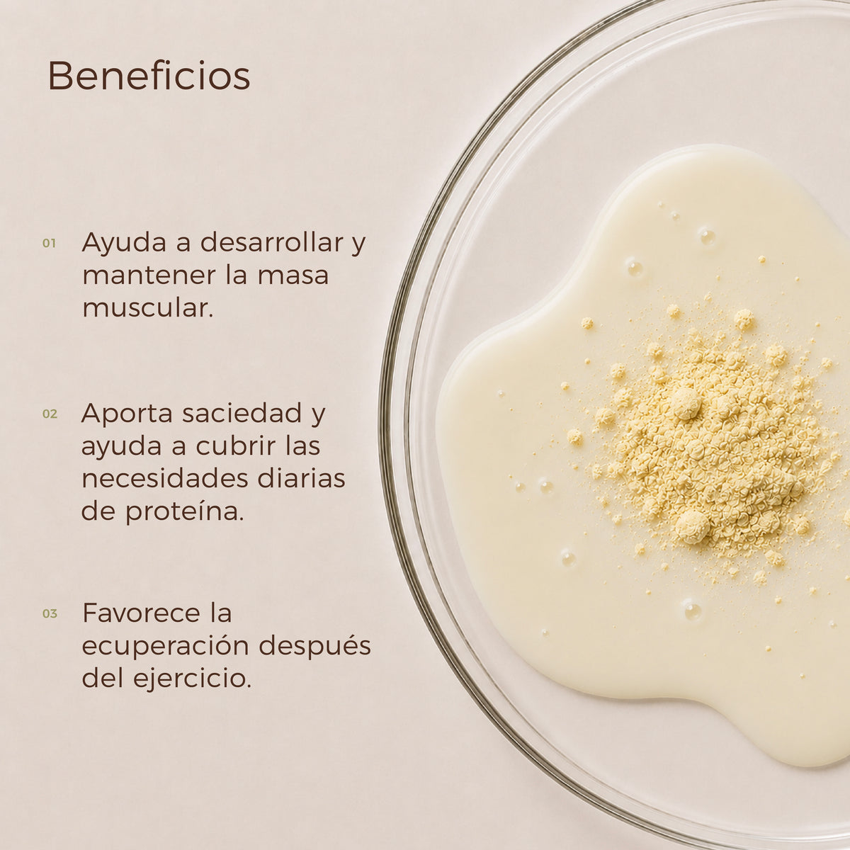 Proteína Vegana Aislada
