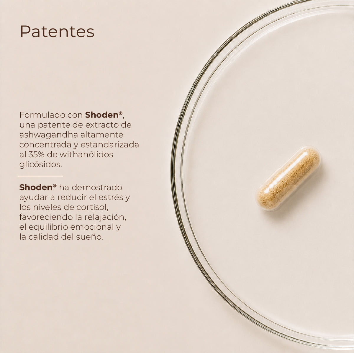 KobhoCALM: protocolo para reducir tu estrés