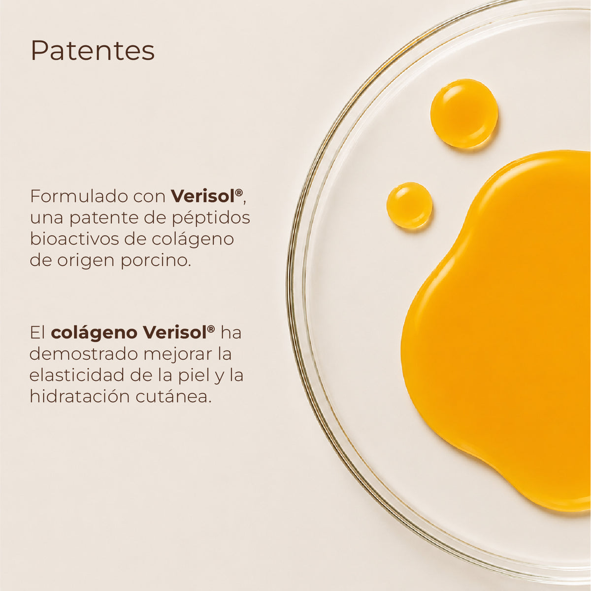 Colágeno Verisol® + Ácido Hialurónico