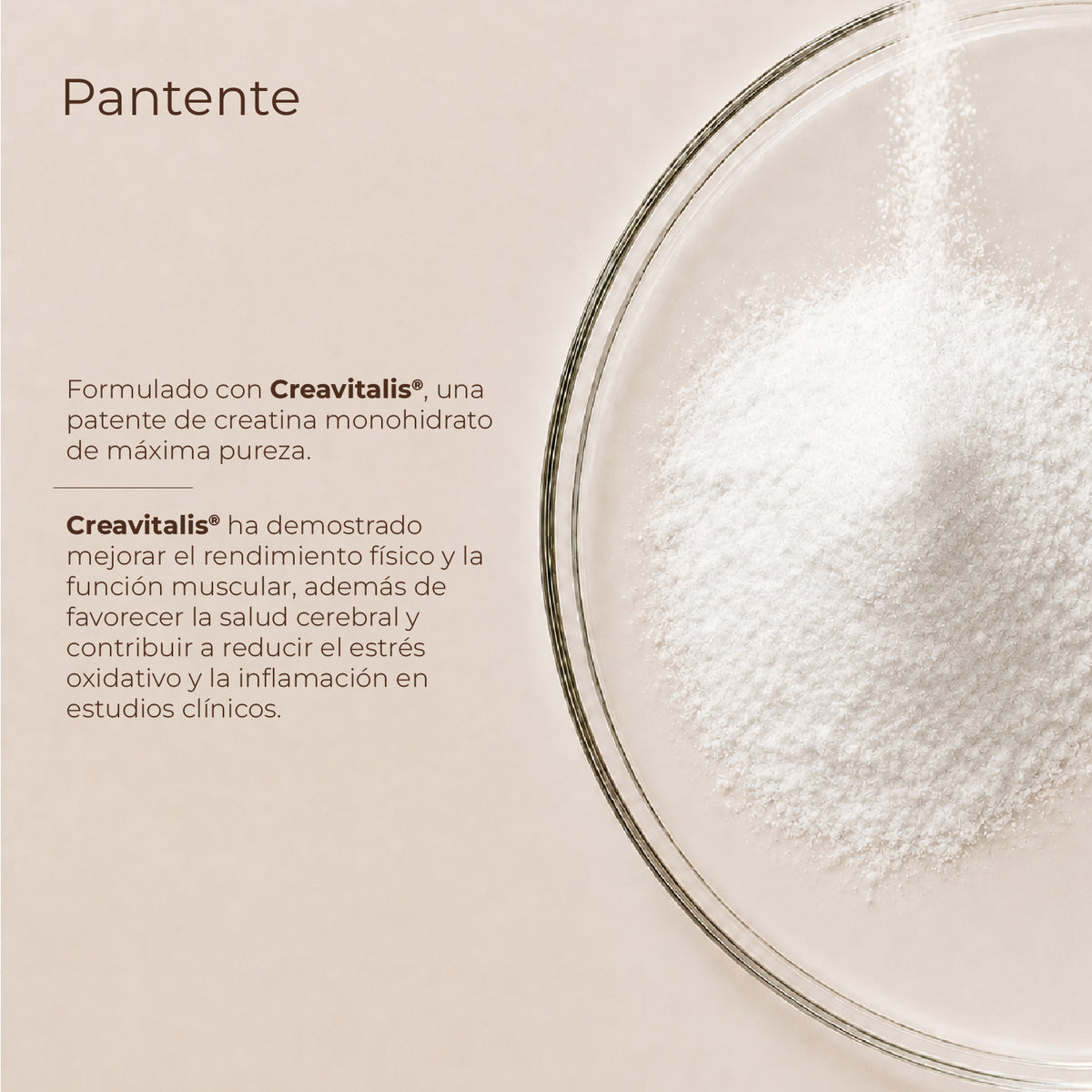 Creatina Plus