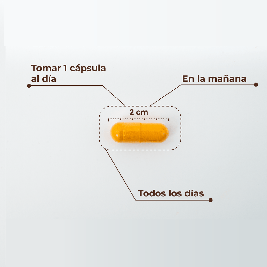 Cúrcuma + Pimienta Negra