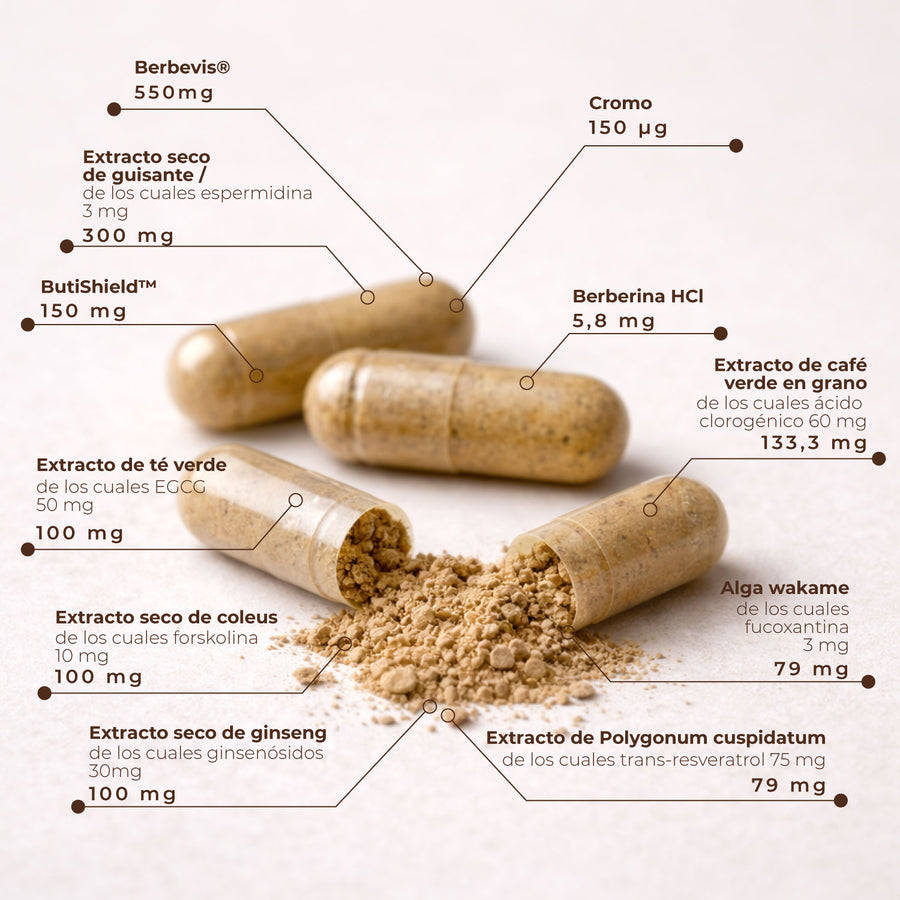 como tomar l'carnitina Suplementacin Con L-Carnitina L-Carnitina: Qu Es, Tipos y