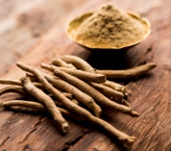 Ashwagandha Shoden®