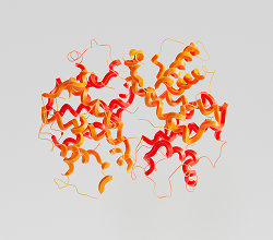 Enzimas digestivas (Digezyme®)