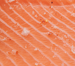 Omega 3 (EPA + DHA) - Omegatex®